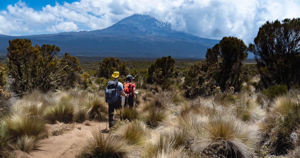 Килиманджаро - восхождение по маршруту Лемошо с сафари и Занзибаром