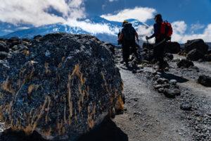 Плато Шира на пути к Килиманджаро