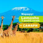 Восхождение на Килиманджаро - маршрут Лемошо+ Сафари + остров Занзибар