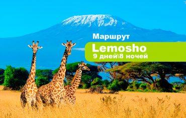 Килиманджаро по Лемошо 9 дней