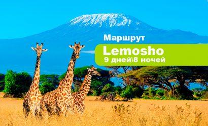 Восхождение на Килиманджаро 5895 по Лемошо 7 дней + 2 дня в отеле