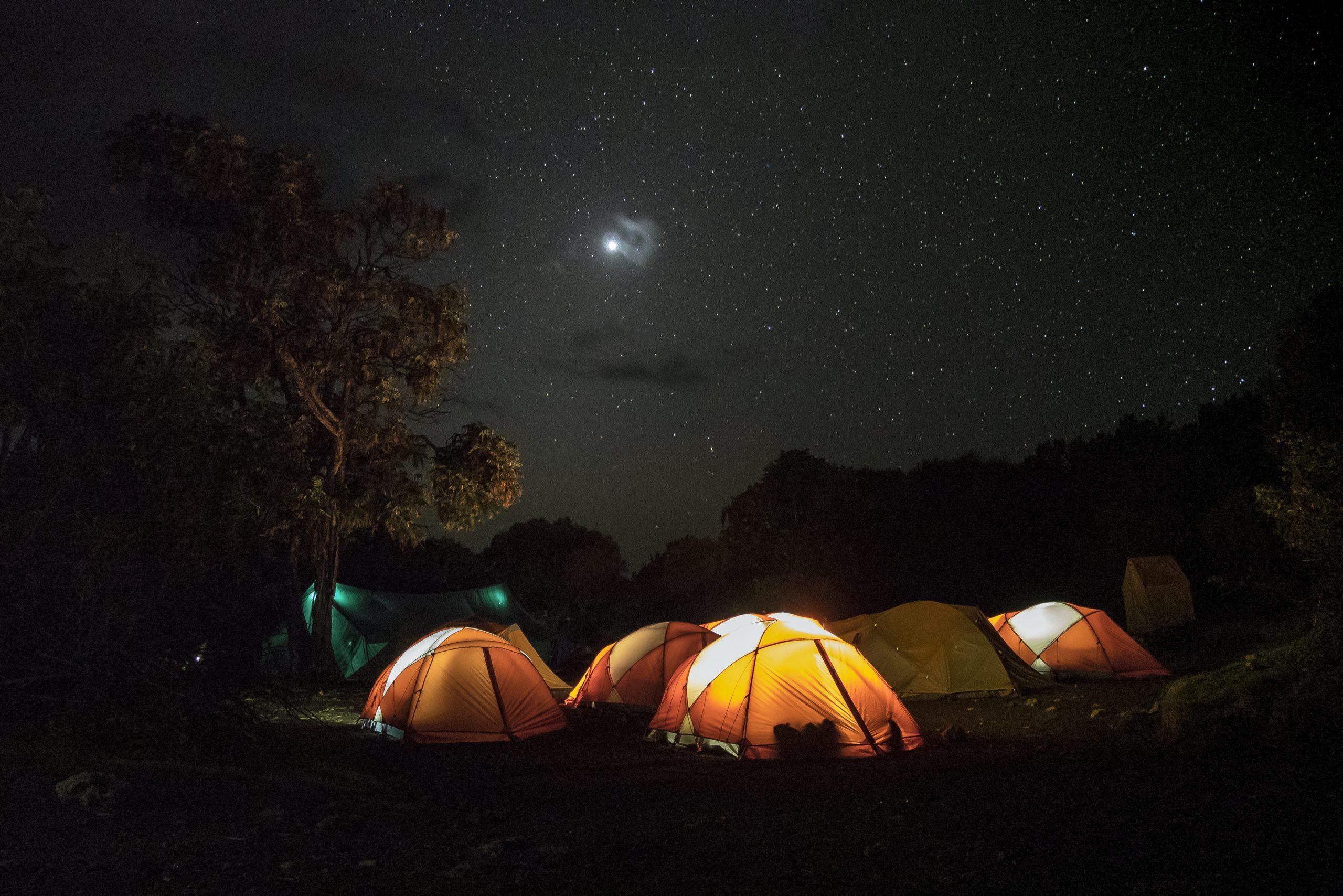 Ночь в Forest Camp