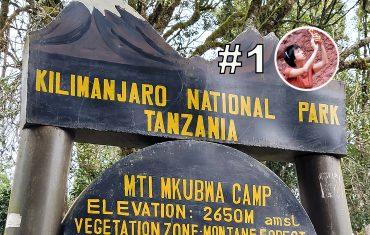 Килиманджаро - Моши и начало подъёма по маршруту Лемошо. Отзыв о путешествии в Танзанию