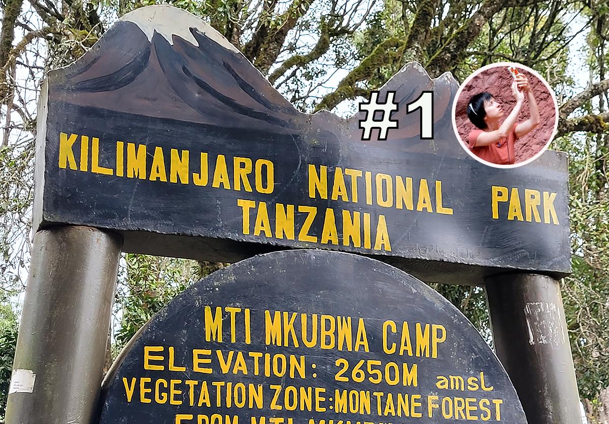 Килиманджаро – Моши и начало подъёма по маршруту Лемошо. Фотоотчет #1