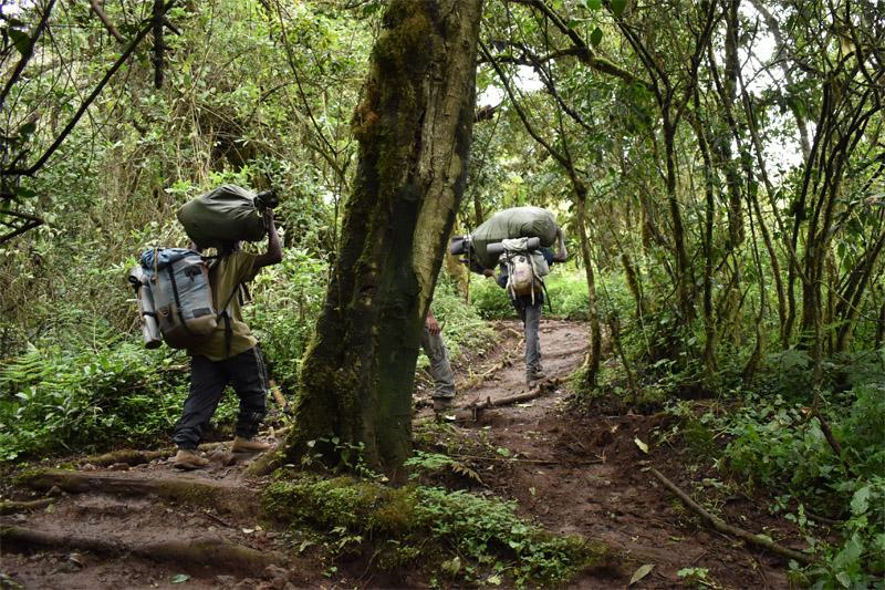 Портеры на Килиманджаро