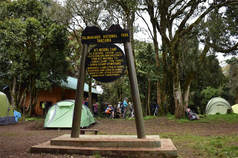 Mti Mkubwa Camp - лагерь на маршруте Лемошо