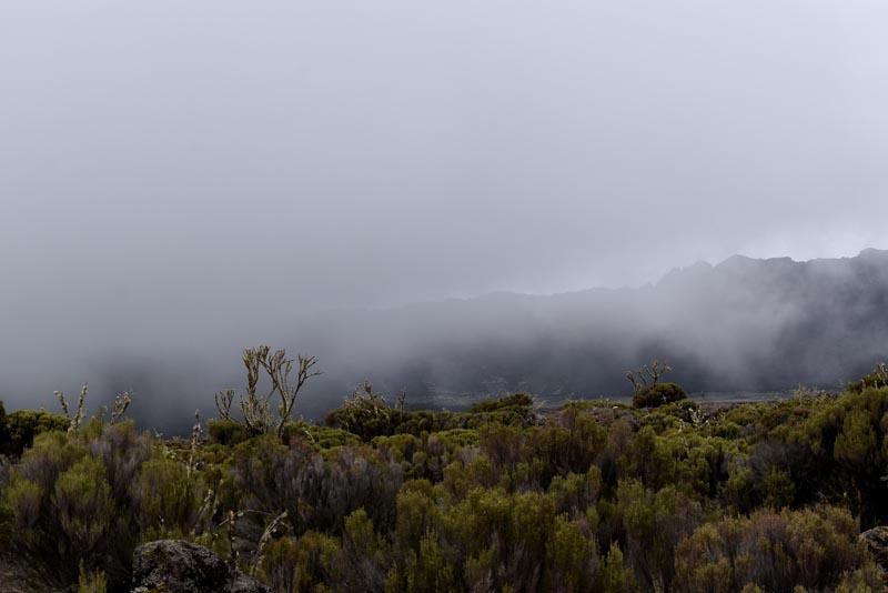 Туман у Килиманджаро