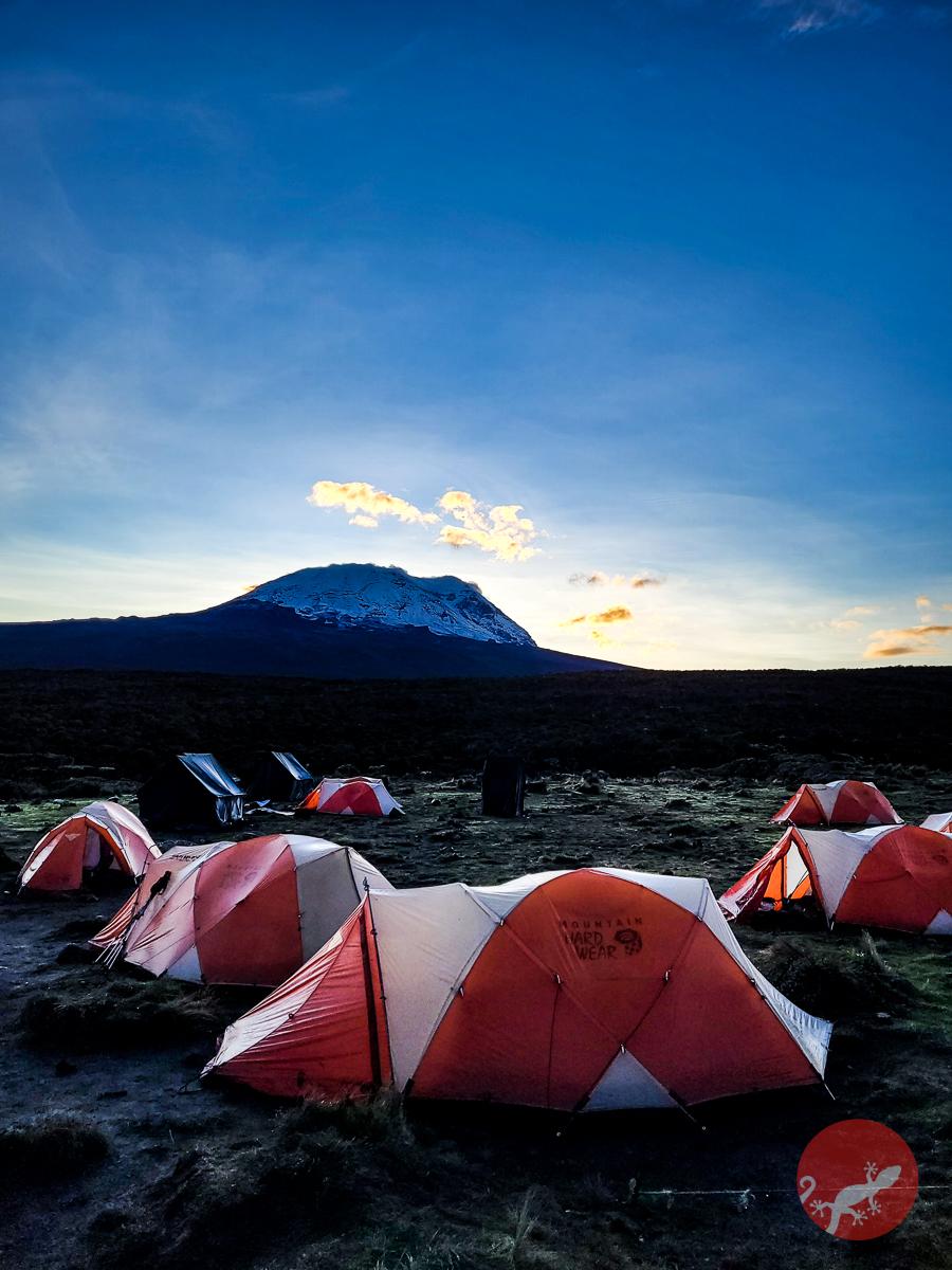 Акклиматизация в Horombo Camp - восхождение на Килиманджаро по маршруту Марангу