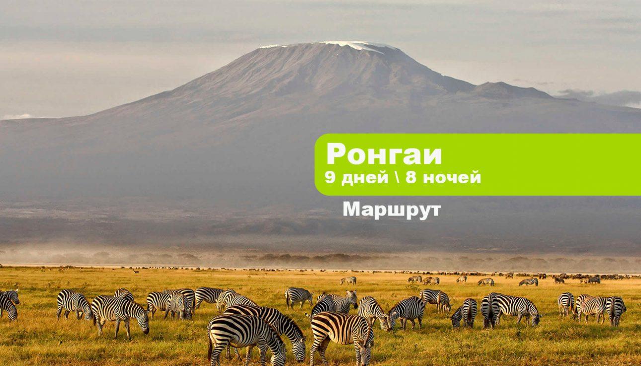 Килиманджаро по маршруту Ронгаи 9 дней