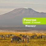 Килиманджаро по маршруту Ронгаи 9 дней