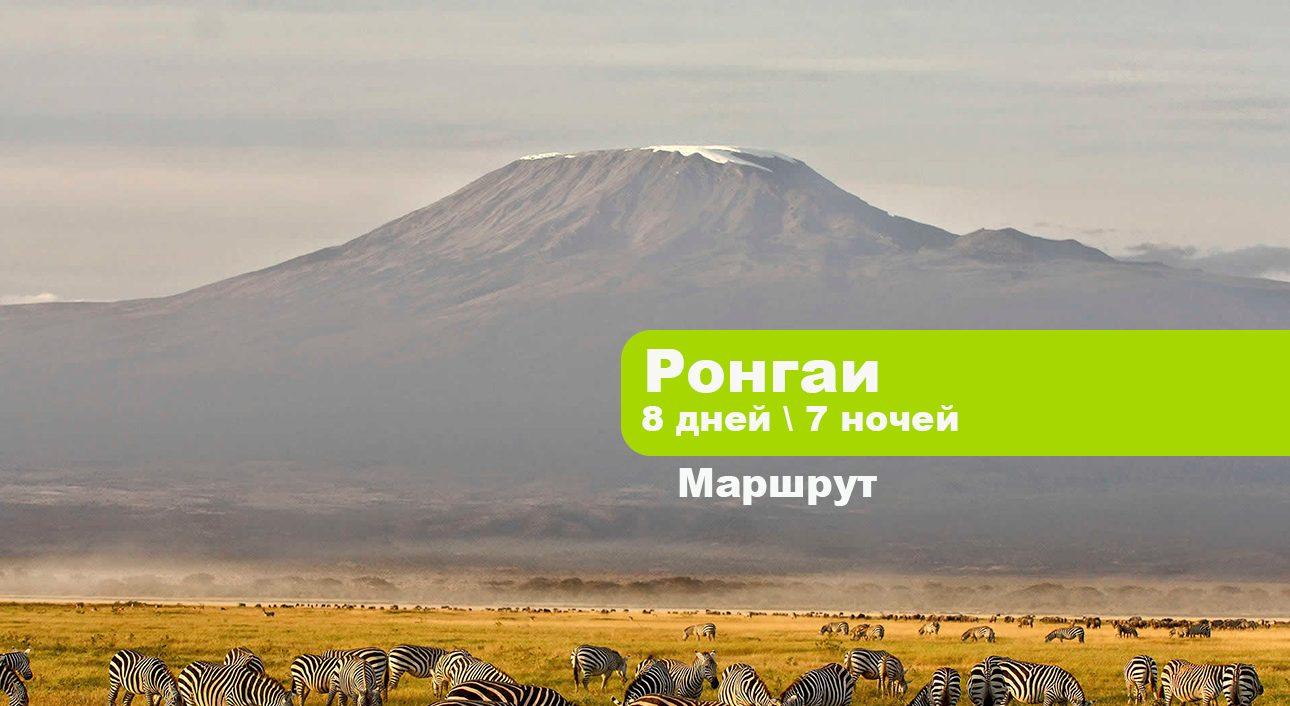 Килиманджаро по маршруту Ронгаи 8 дней