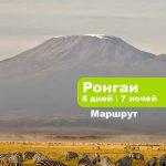 Килиманджаро по маршруту Ронгаи 8 дней