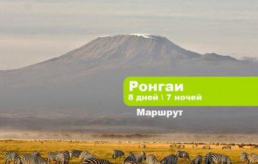 Килиманджаро по маршруту Ронгаи 8 дней