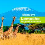 Восхождение на Килиманджаро по маршруту Лемошо, 8 дней + 2 дня в отеле