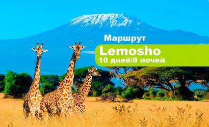 Восхождение на Килиманджаро по маршруту Лемошо, 8 дней + 2 дня в отеле