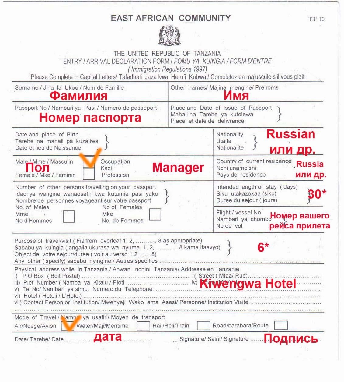 Пример заполнения визы в китай 2024. Миграционная карта Танзания. Анкета на визу в Иран образец заполнения. Миграционная карта Египет образец.