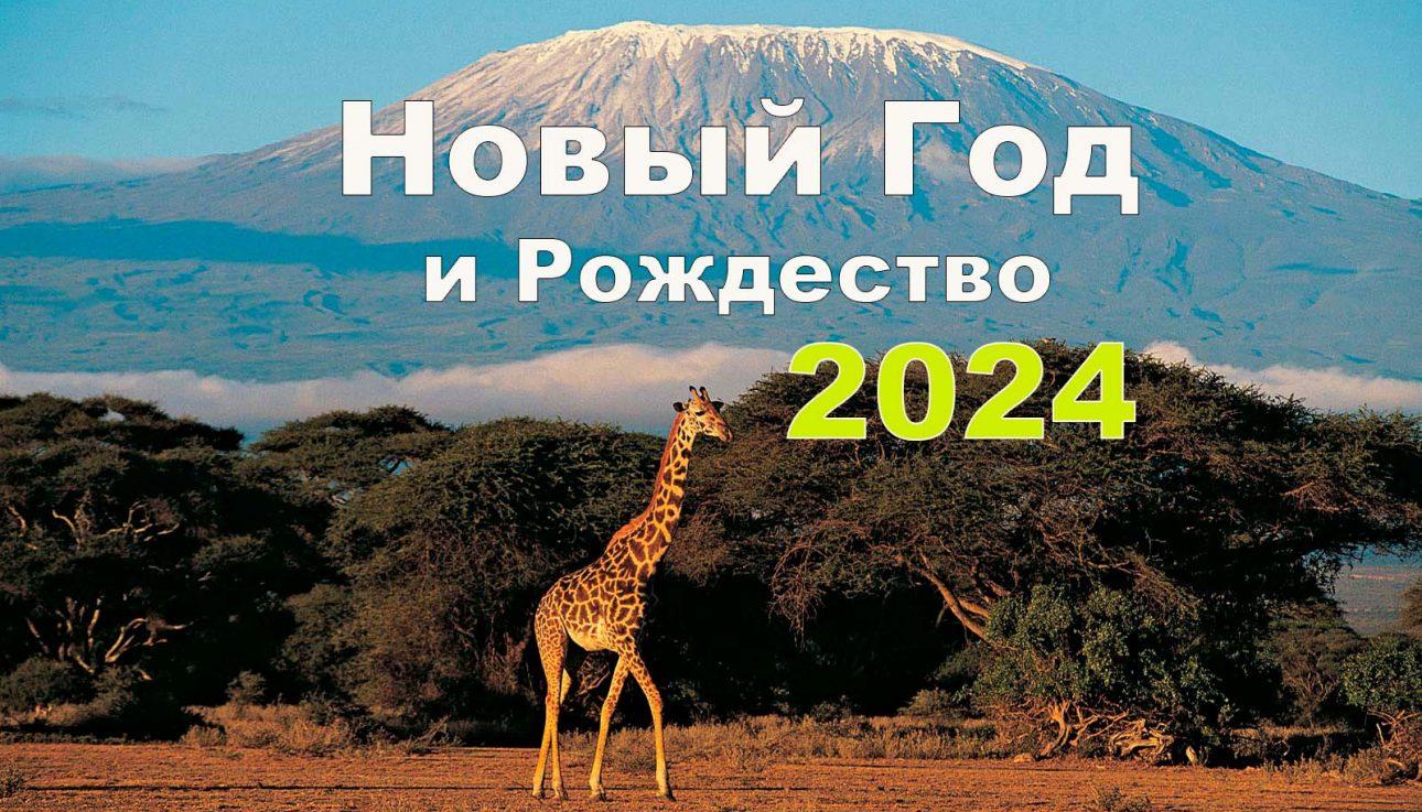 Новый год на Килиманджаро 2024