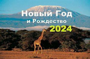 Новый год на Килиманджаро 2024