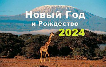 Новый год на Килиманджаро 2024