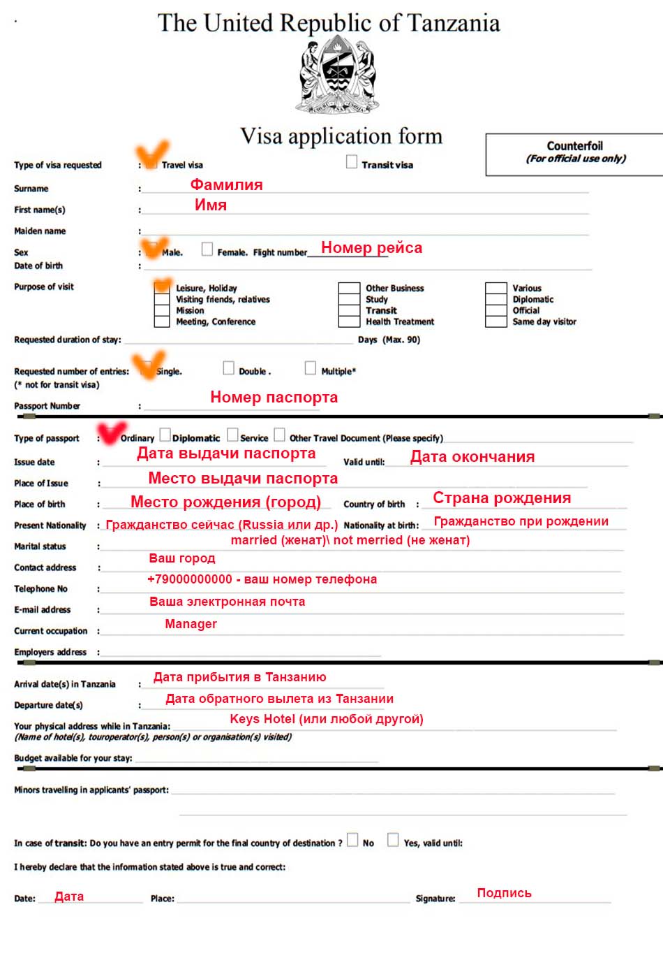 Заявка на визу в Танзанию - пример заполнения