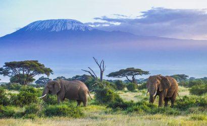 Тур на Килиманджаро - "Вокруг Килиманджаро" или Северный траверс