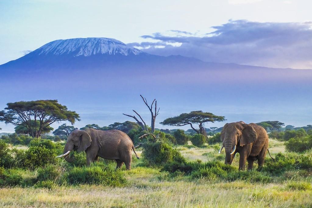 Туры в Танзанию на Килиманджаро