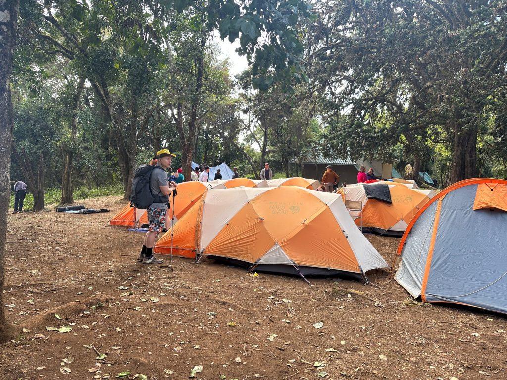 Лагерь Foresst Camp