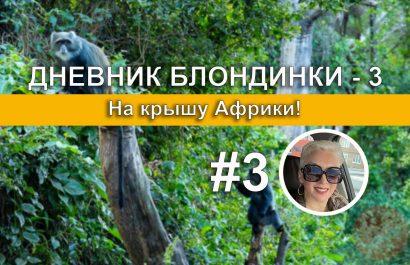 Утро в джунглях — Forest Camp