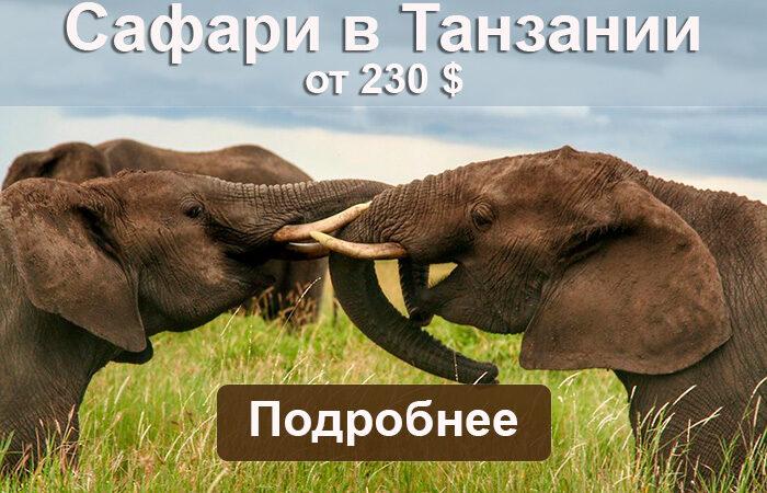 Сафари в Танзании