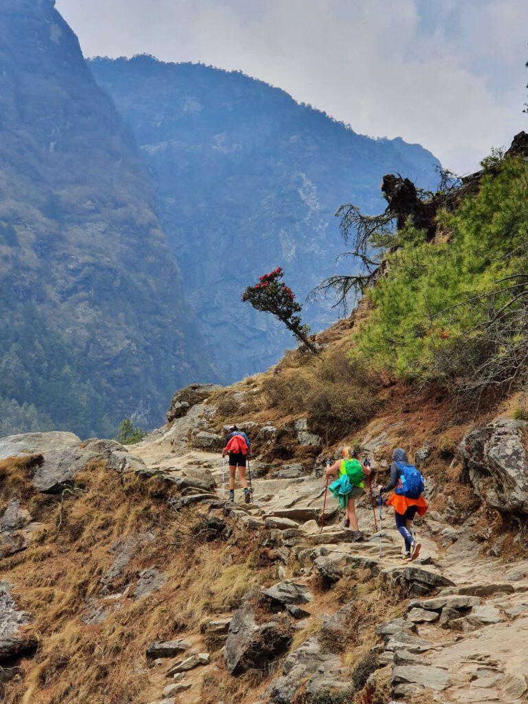 Дорога в Намче Базар, Гималаи