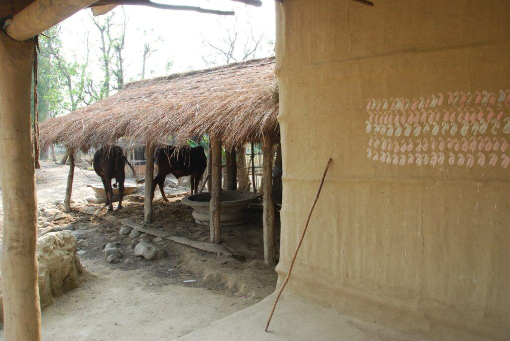 Хижина в деревне Саураха, Читван
