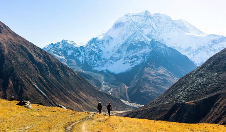 Переход в Dharamsala