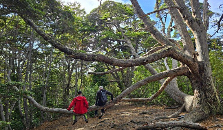 Заповедник Тьера дель Фуэго