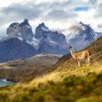 Тур в Патагонию