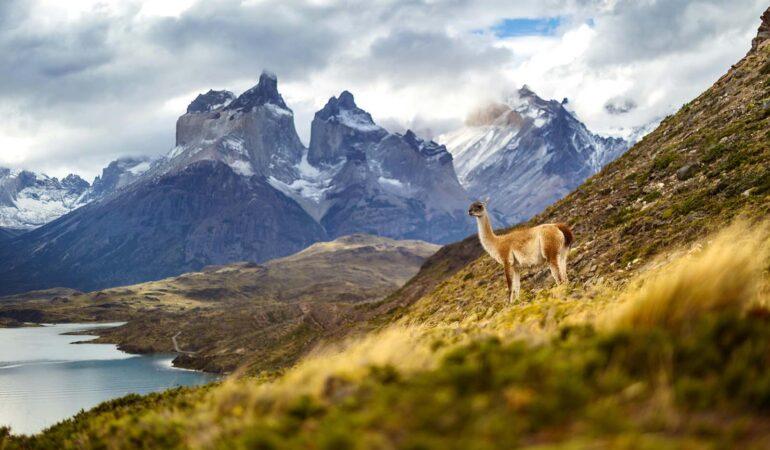 Горы Патагонии