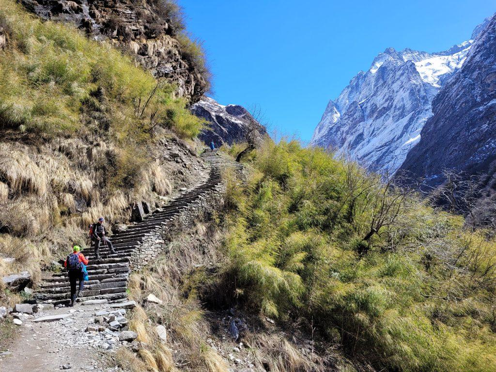 Переход в Himalaya