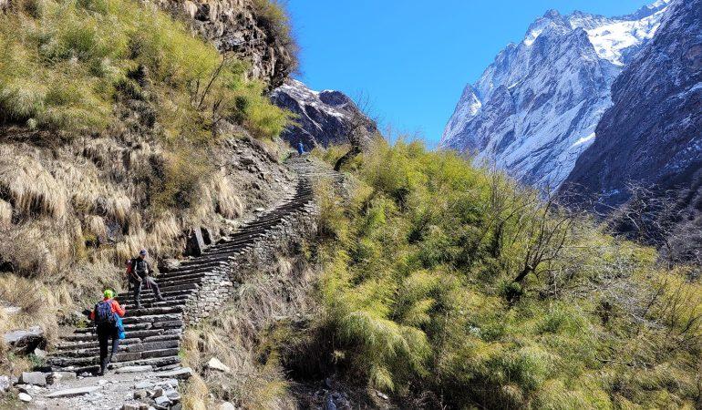 Переход в Himalaya