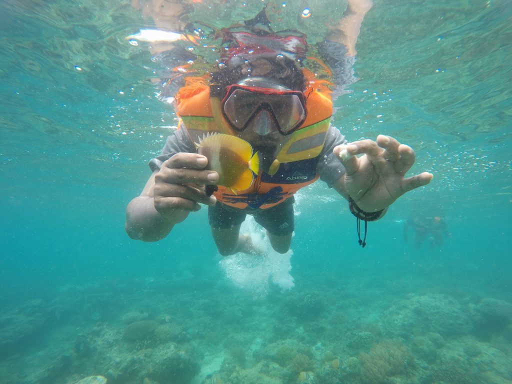 Дайвинг на Карибском море