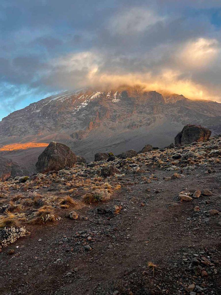 Килиманджаро Лемошо 01.2026