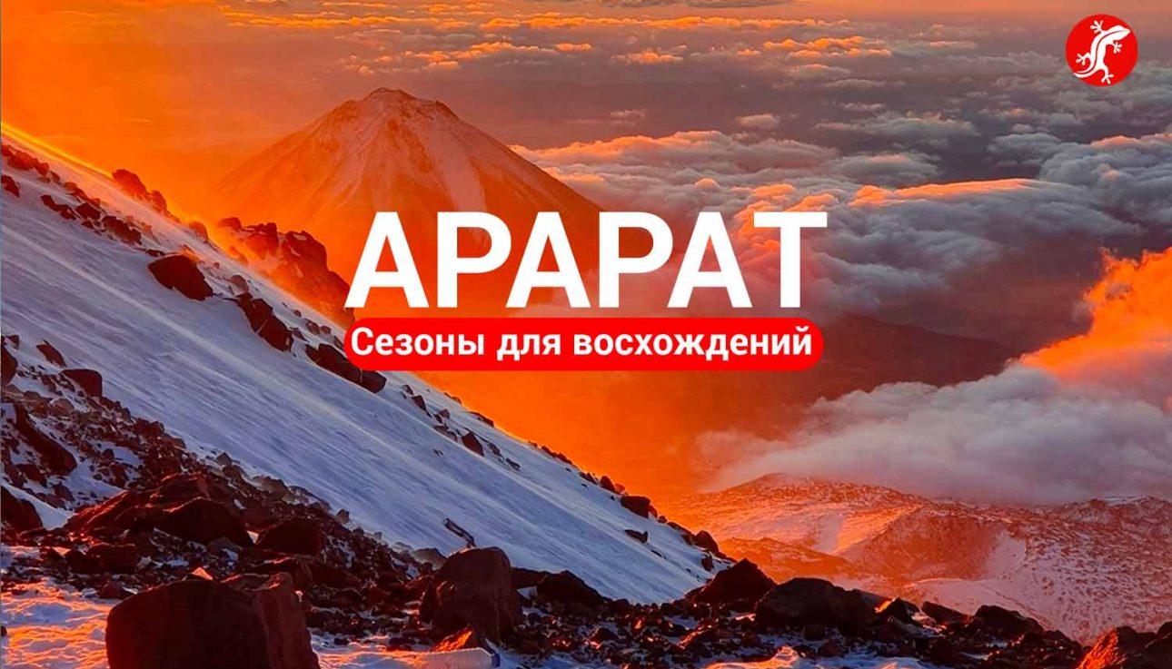 Арарат сезоны