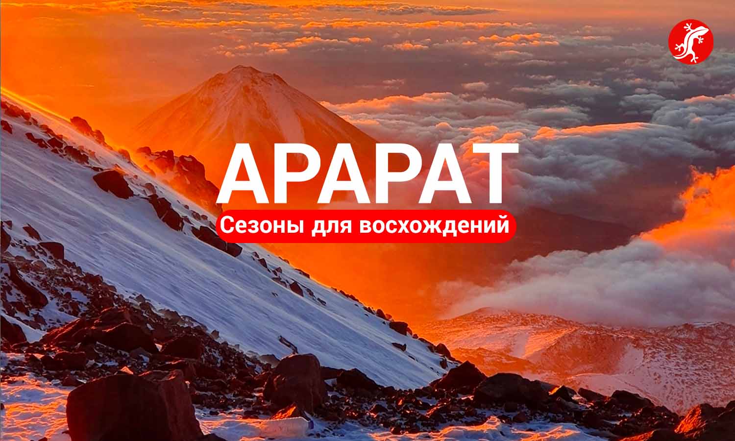 Арарат сезоны