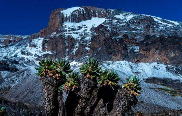 Килиманджаро пик Ухуру