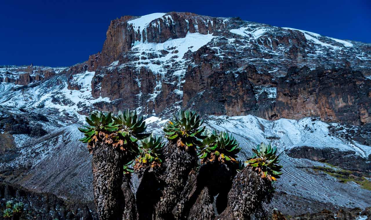 Килиманджаро пик Ухуру