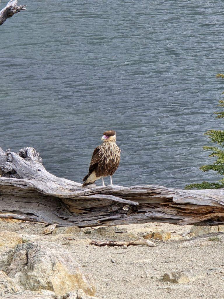 по пути в Поинсенот кемпинг 4