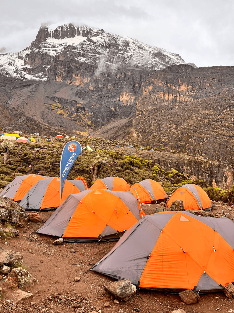 лагерь Баранко, Лемошо 2026