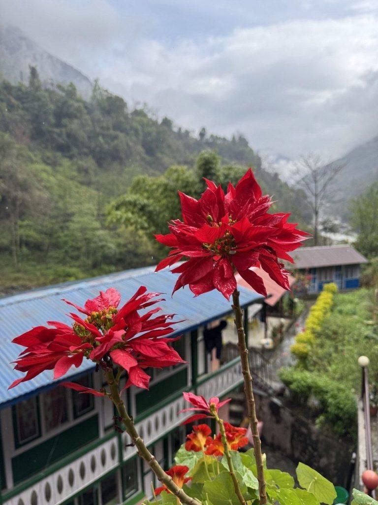 вокруг Аннапурны: переход 2 день (1)