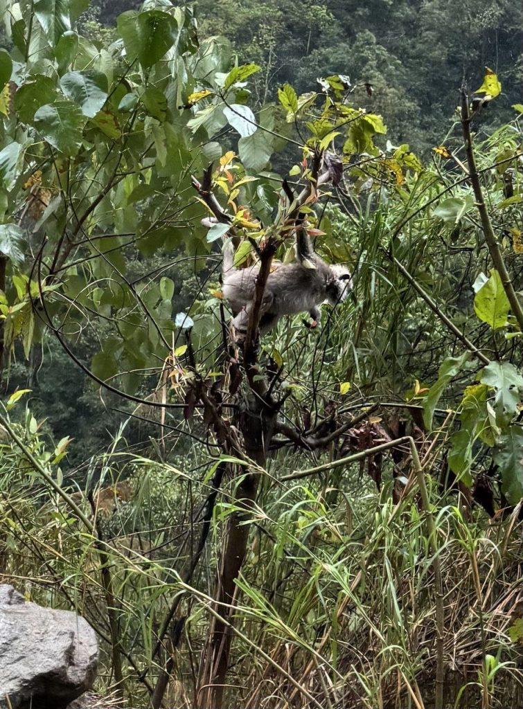 вокруг Аннапурны: переход 2 день (2)