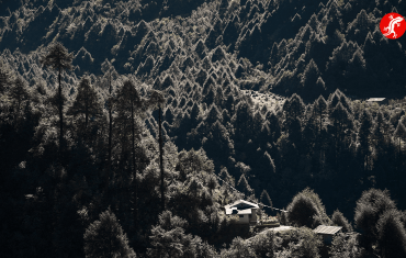 лес в районе Луклы