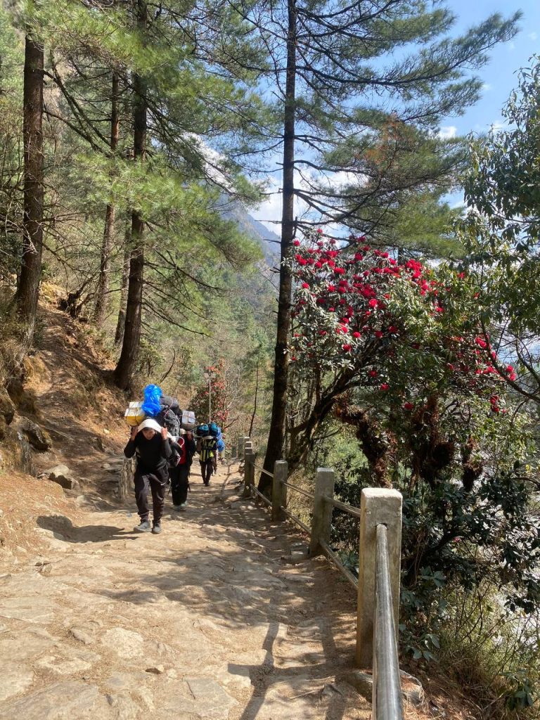 по пути в Луклу, весна 2026