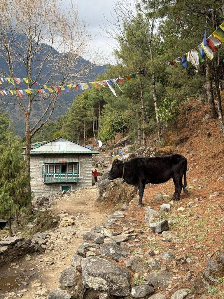 Пхакдинг на пути к б/л Эвереста через Гокио (1)